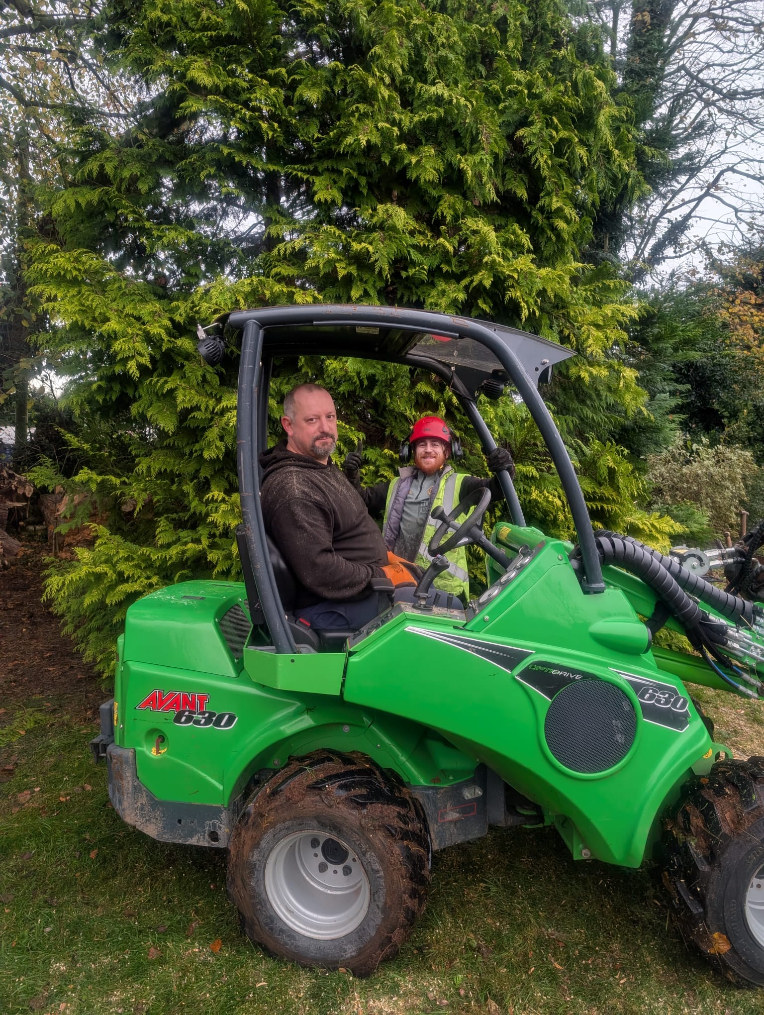 The Tree Company Team