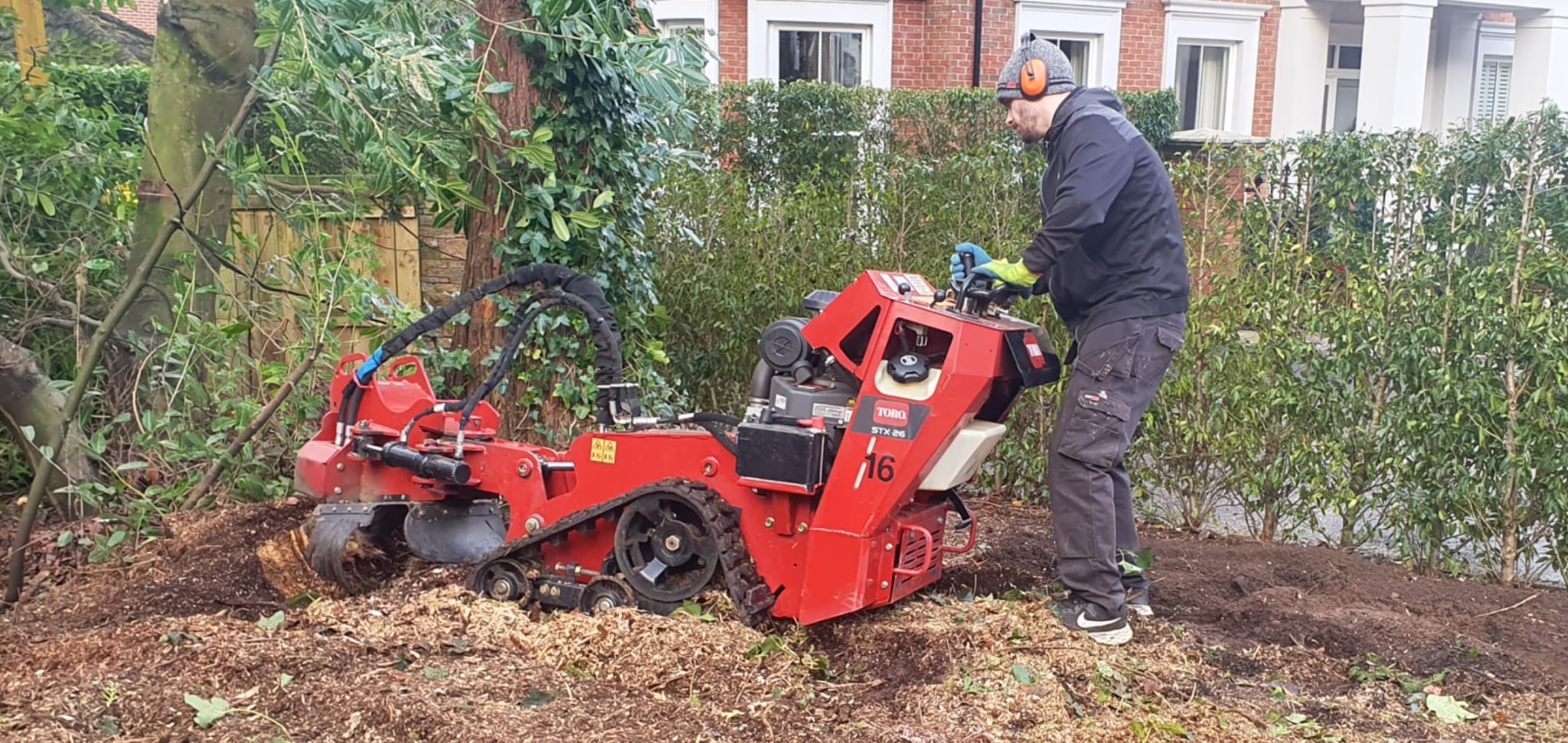 Professional stump grinding equipment and service