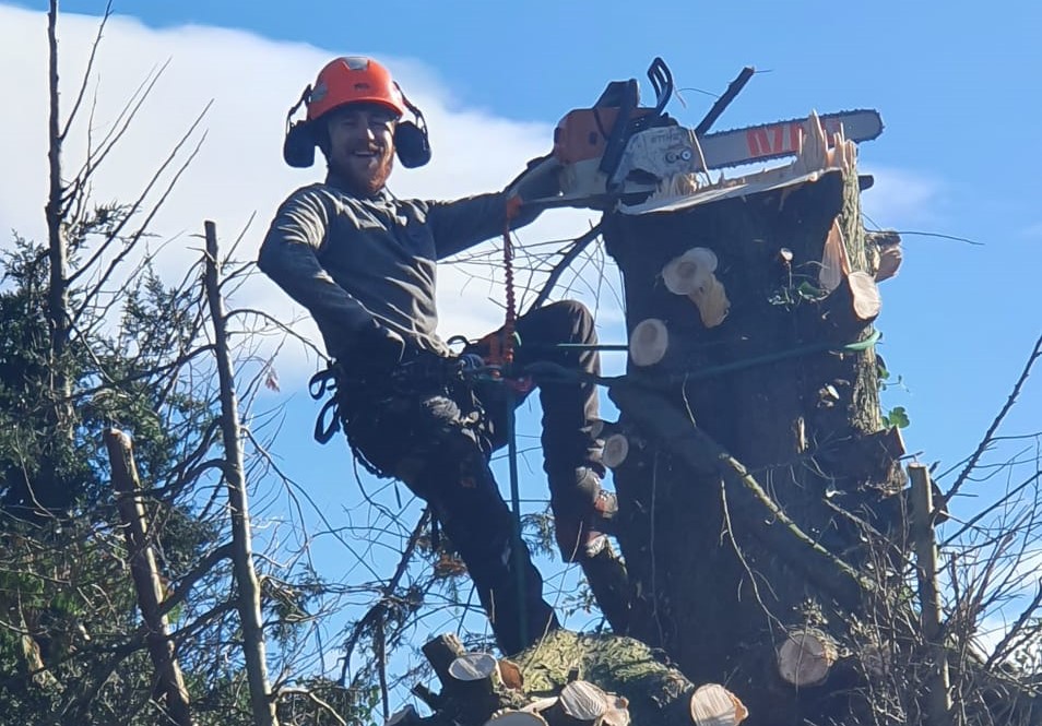 Aaron - Senior Tree Surgeon with 12 years climbing experience