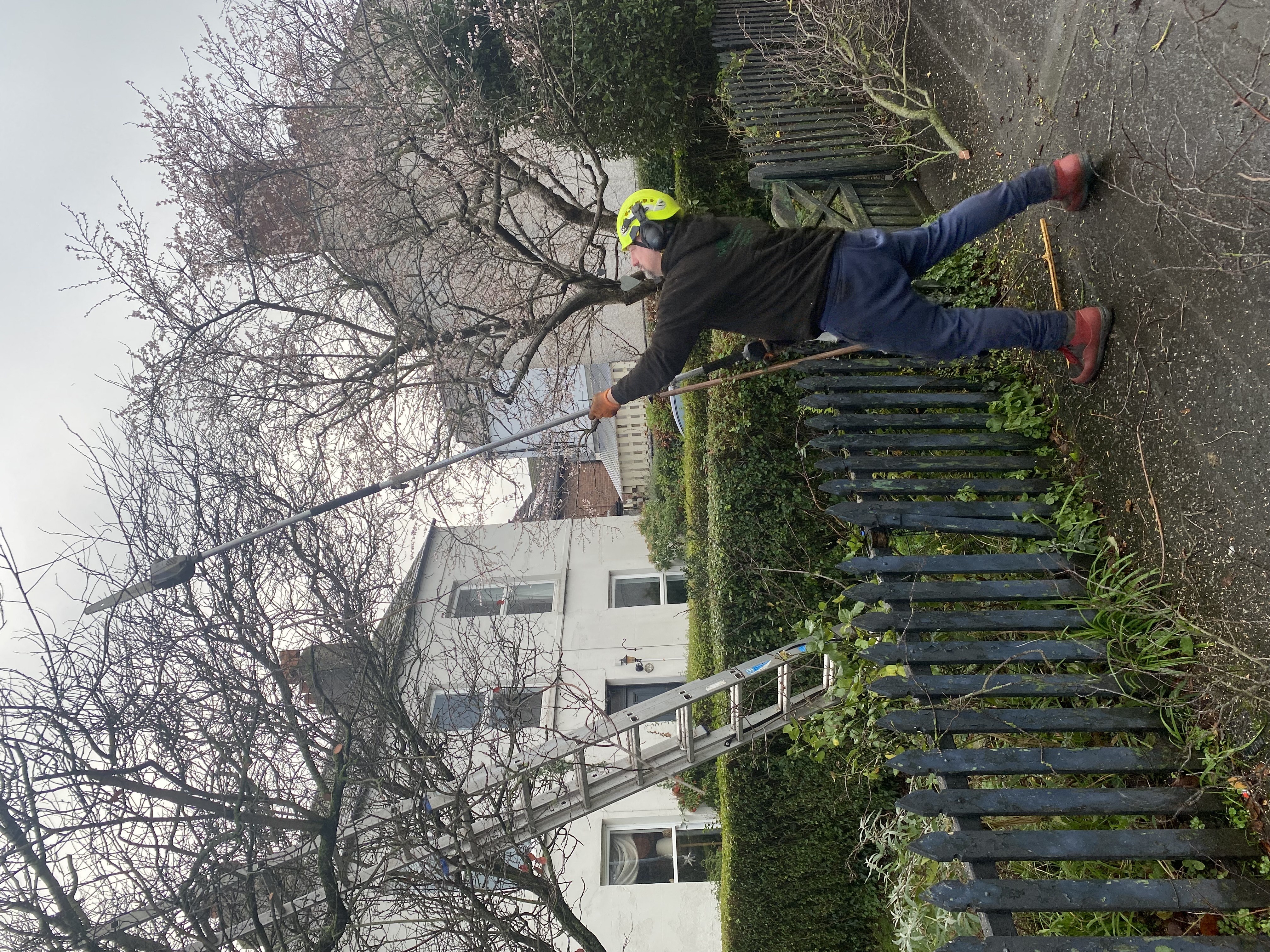 James - Lead Arborist and Company Owner with 20 years experience