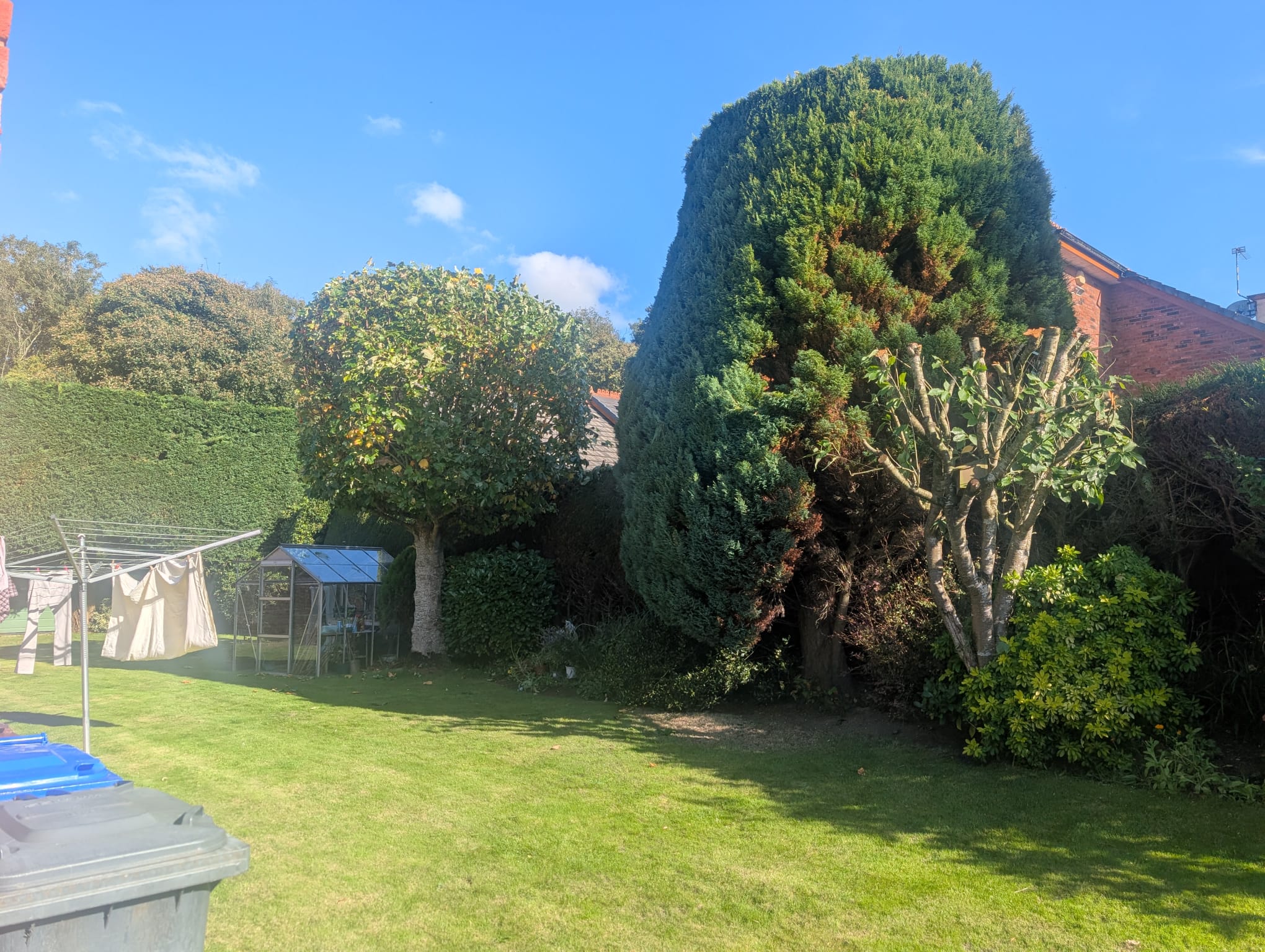 Maintained garden after professional work