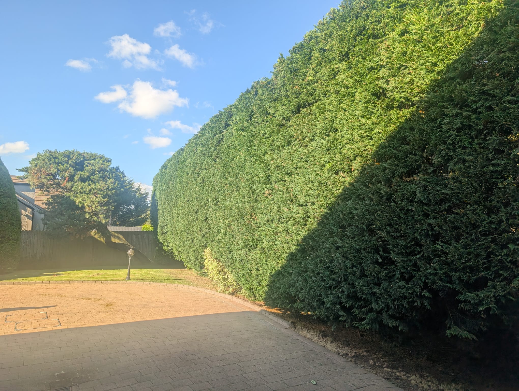 Professionally trimmed hedges after