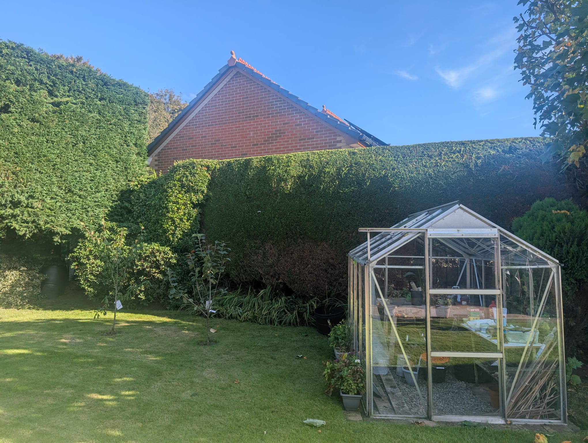 Clean garden area after work