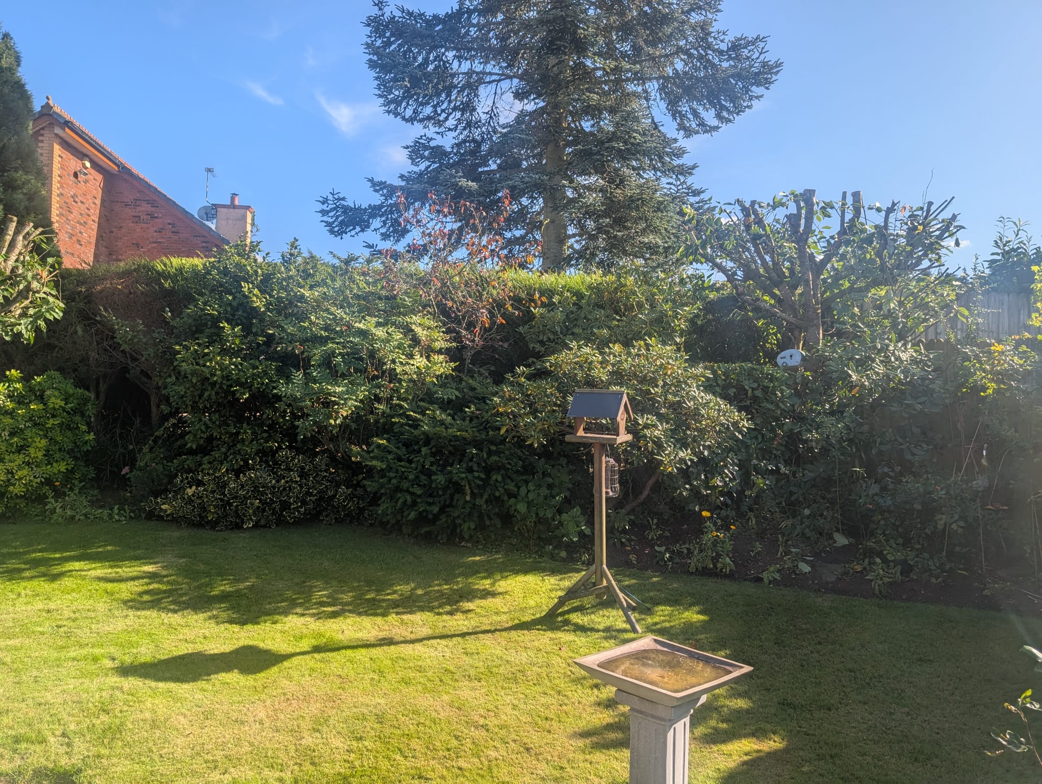 Professionally maintained garden after